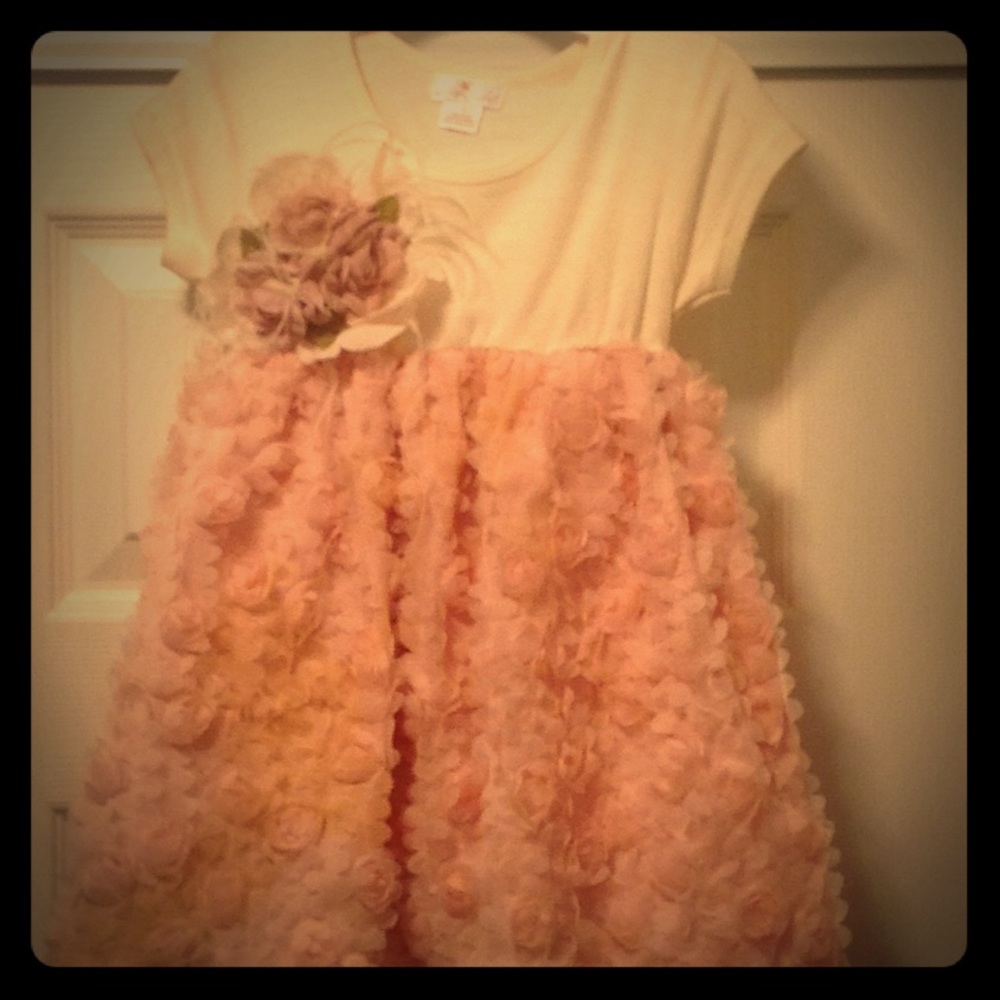 Rose pink(blush) & ivory Daniella Dress